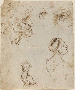 Leonardo da Vinci<br /><i>Sheet of Studies</i> [recto], probably 1470/1481<br />Pen and brown ink over black chalk on laid paper, 16.4 x 13.9 cm (6 7/16 x 5 1/2 in.)<br />National Gallery of Art, Washington, DC, The Armand Hammer Collection<br />Image courtesy of the Board of Trustees, National Gallery of Art
